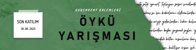 öykü üst şerit2